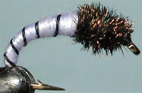 Caddis White Trout Fly Pattern