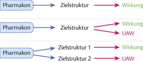 Pharmakodynamik Karteikarten Quizlet