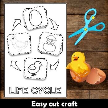 Life Cycle Of A Chick Flip Book Craft Lifecycle Sequencing Color