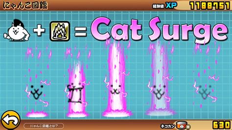 The Battle Cats Cat Surge Unit Youtube