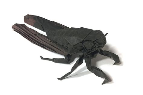 Cicada By 18575 Origami Insects Paper Folding Origami