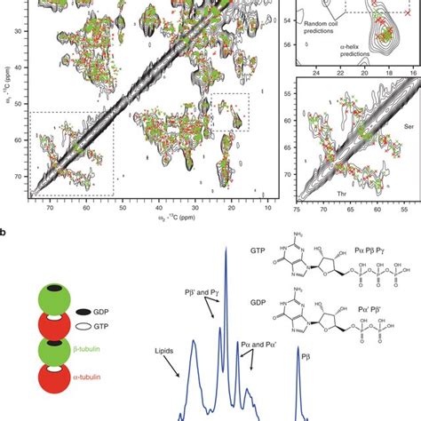 Ssnmr Spectra Of ¹³c ¹⁵n Labeled Mts A The 2d ¹³c¹³c Radio Download Scientific Diagram