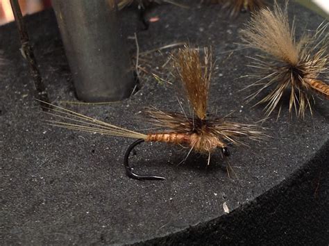Trout Fly Types Everything You Need To Know Badangling