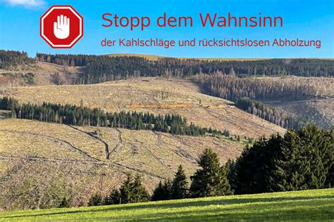 Pro Contra Schutz des Thüringer Waldes Stopp für Kahlschläge und