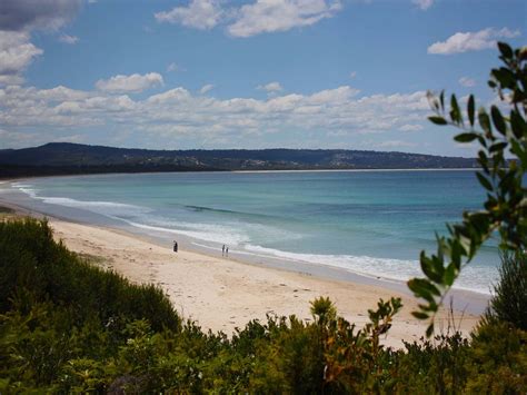 Park map | Pambula Holiday & Caravan Park | Reflections Holidays