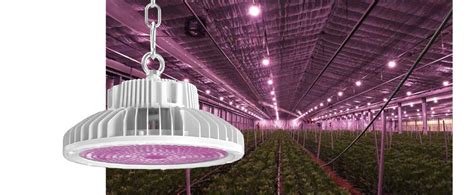 Horti Pro Led Grow Light Atop Horticulture Lighting