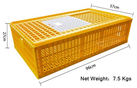 plastic chicken crates - China Berys Farm