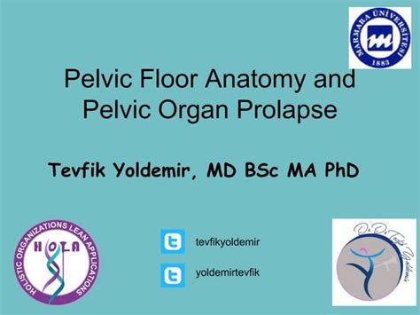 Pelvic Organ Prolapse Ppt