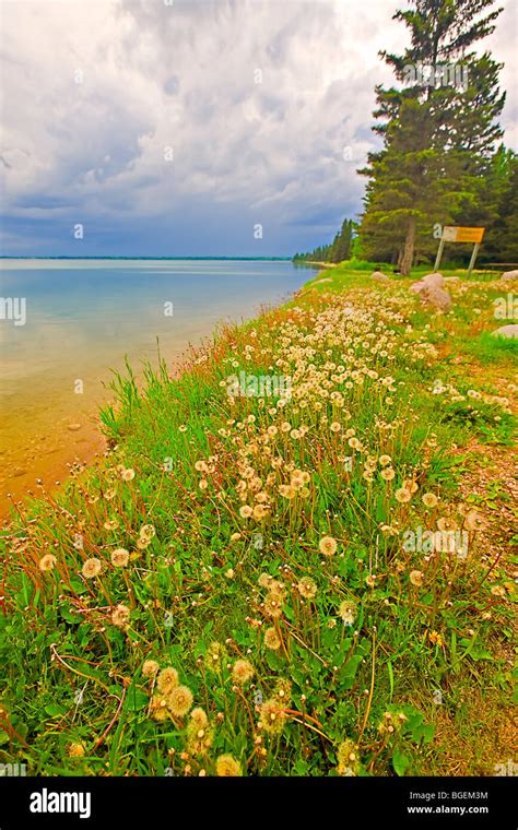 Shoreline Of Clear Lake In Riding Mountain National Park Manitoba