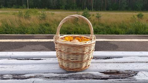 За грибами в Петяярви (Приозерское направление). Ох уж эти горки ...