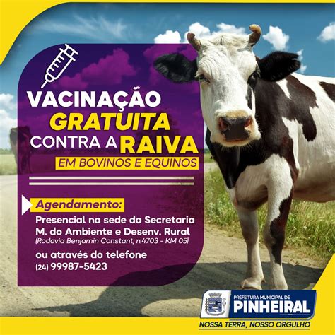 Vacina O Gratuita Contra Raiva Para Bovinos E Equinos Est Dispon Vel