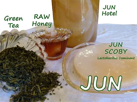 Organic Jun Culture Scoby For 1 Gallon Of Jun Fermented Tea Kombucha