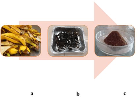 Preparation And Extraction Of Banana Peels Natural Coagulant Powder A