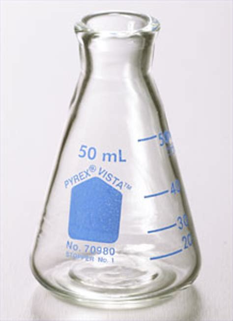 Pyrex® Glass Erlenmeyer Flask Measuring 25 Ml Carolina 55 Off