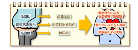 メタボリックシンドロームについて 鶴丸調剤薬局 白十字総合薬局 鹿児島で薬局を展開。