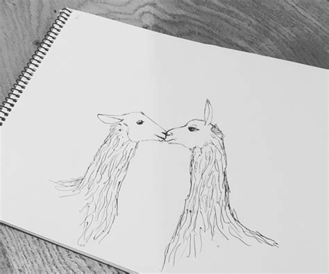 Llama - Drawing Skill