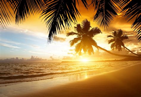 Tropical Island Sunset Wallpaper Images