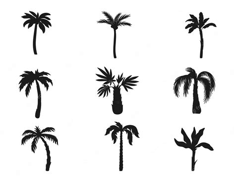 Premium Vector Palm Tree Collection Isolated Vector Silhouette