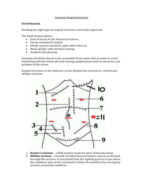 Common Surgical Incisions David Rassam Deciding The Right Type Of