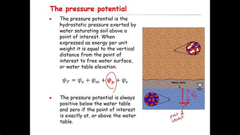 Water Potential Matric Potential Solute Potential Pressure Potential