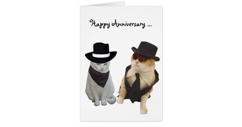 Funny Cats Anniversary Card | Zazzle