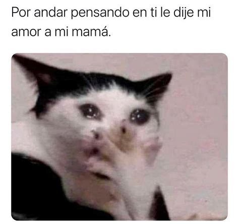 Las Personas Que Estamos Gachas Tenemos El Perfil Lleno De Memes Yo