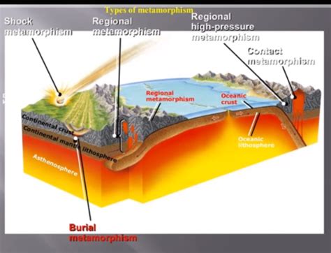 2 Metamorphic Rocks Flashcards Quizlet