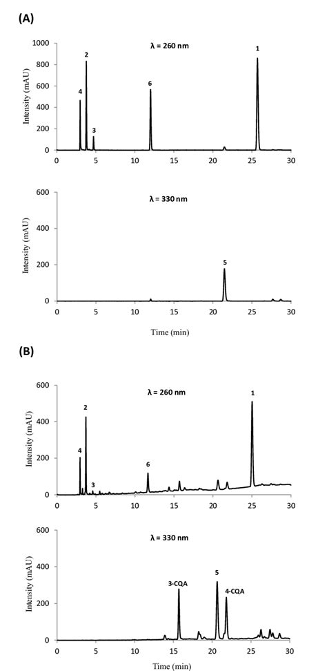 Hplc Dad Chromatograms At 260 Nm And 330 Nm Of A Standard Mixture Of