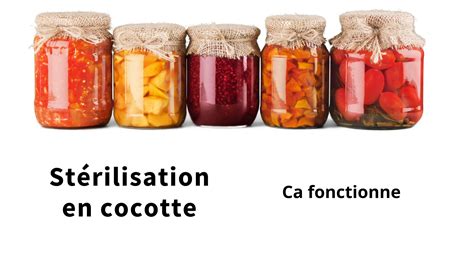 La St Rilisation La Cocotte Minute Mode Demploi Cocotte