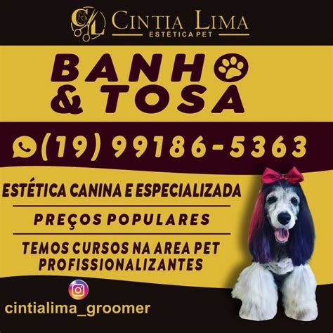 Banho E Tosa Em Americana - Banho e tosa , Americana SP | Americana SP