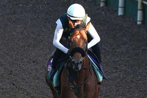 【宝塚記念】大阪杯v時よりギア1段階上げたベラジオオペラgⅠ連勝だ｜競馬ニュース｜競馬予想のウマニティ