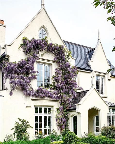 Rita Farhi Noirot On Instagram Wisteria Windows This Must Be One