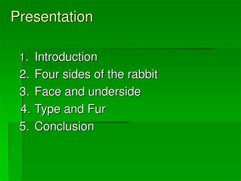 Ppt Basic 4 H Rabbit Showmanship Powerpoint Presentation Free