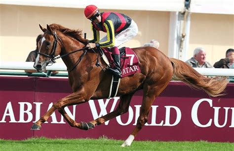 競走馬の遺伝子検査｜ヨメウマ日記競馬