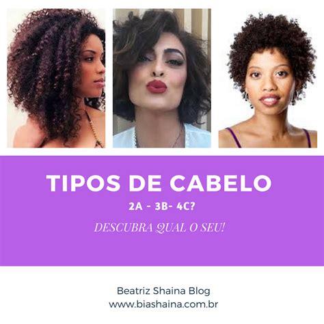 Cantinho Beatriz Shaina Tipos De Cabelo Descubra Qual O Seu