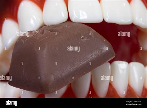 A Chocolate Candy Between Teeth Close Up Stock Photo Alamy