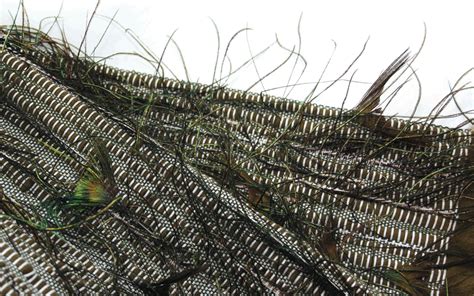 Biophilic Interior Textiles | Green Product Award