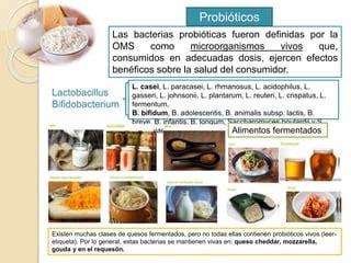 Conferencia Microbiota Intestinal un mundo por descubrir Nutrición y