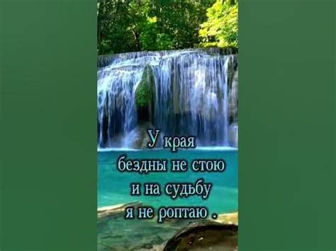 #жизнь - YouTube