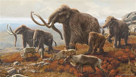 Beth Zaiken New York State Museum Pleistocene Tundra Mural