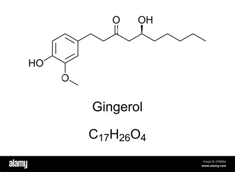 Gingerol Fórmula Química Y Estructura Compuesto Fitoquímico Fenólico