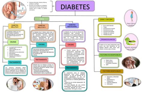 Mapa Conceptual De La Diabetes Porn Sex Picture