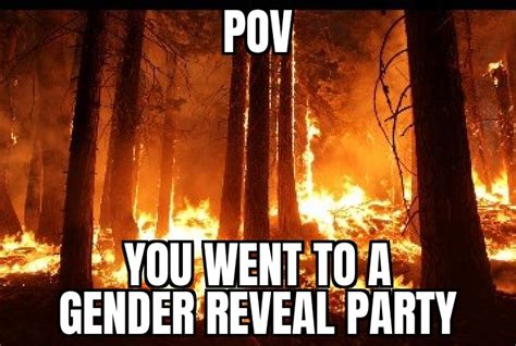 Gender Reveal Memes That Are Dangerously Explosive Gender Reveal Parties Memes