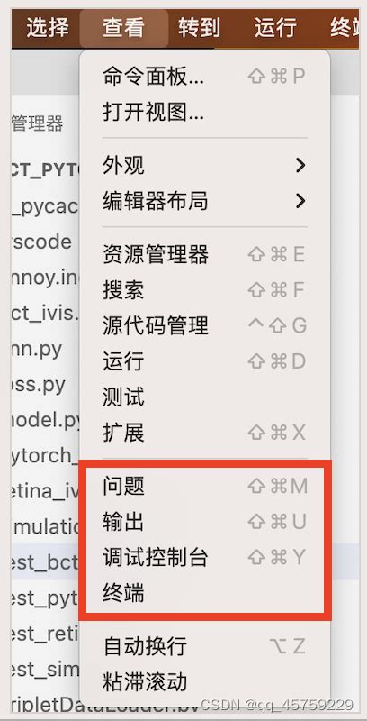 Vscode中调整图片及终端窗口大小指南 Csdn博客