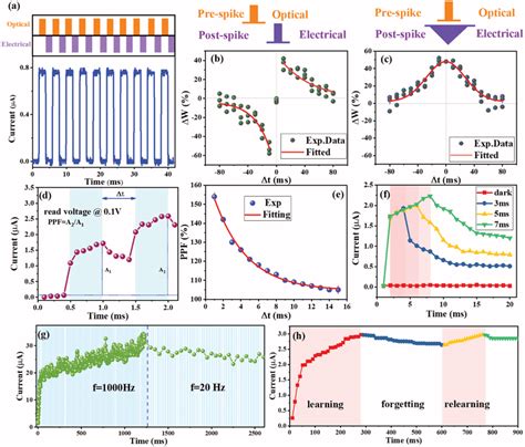 Light‐tunable Synaptic Characteristics A Pulse Switching