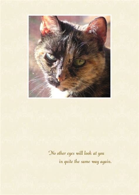 Animal Sympathy Cards - Portraits of Animals