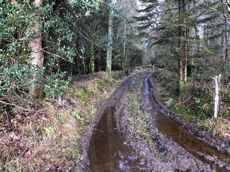 A Muddy Track Cardross Woodlands Richard Webb Geograph Britain