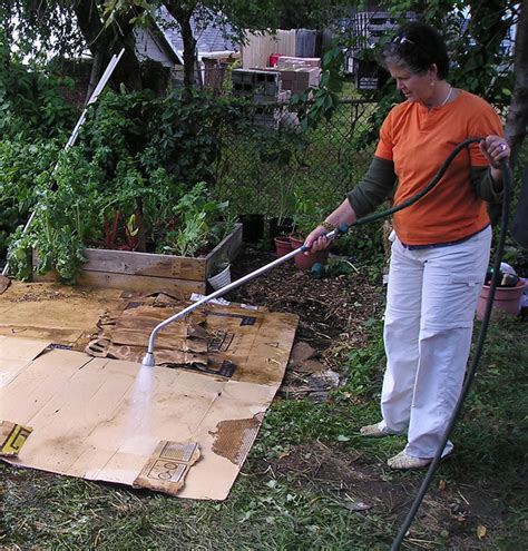 Sheet Mulching With Cardboard Dos And Donts Under The 60 Off