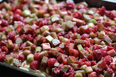 Rhubarb Raspberry Streusel Cake Diary Of A Mad Hausfrau