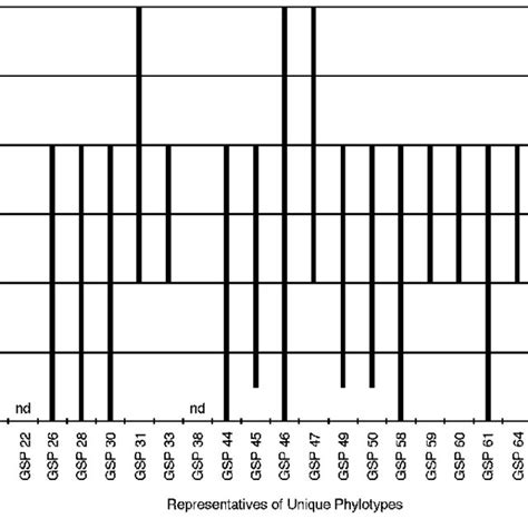 Outline Of The Setup Of A Microtiter Plate For Antimicrobial Download Scientific Diagram